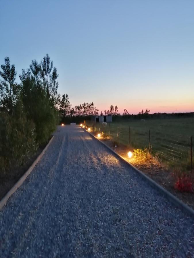 Gite Repos Et Tranquillite P Cayeux-sur-Mer Bagian luar foto