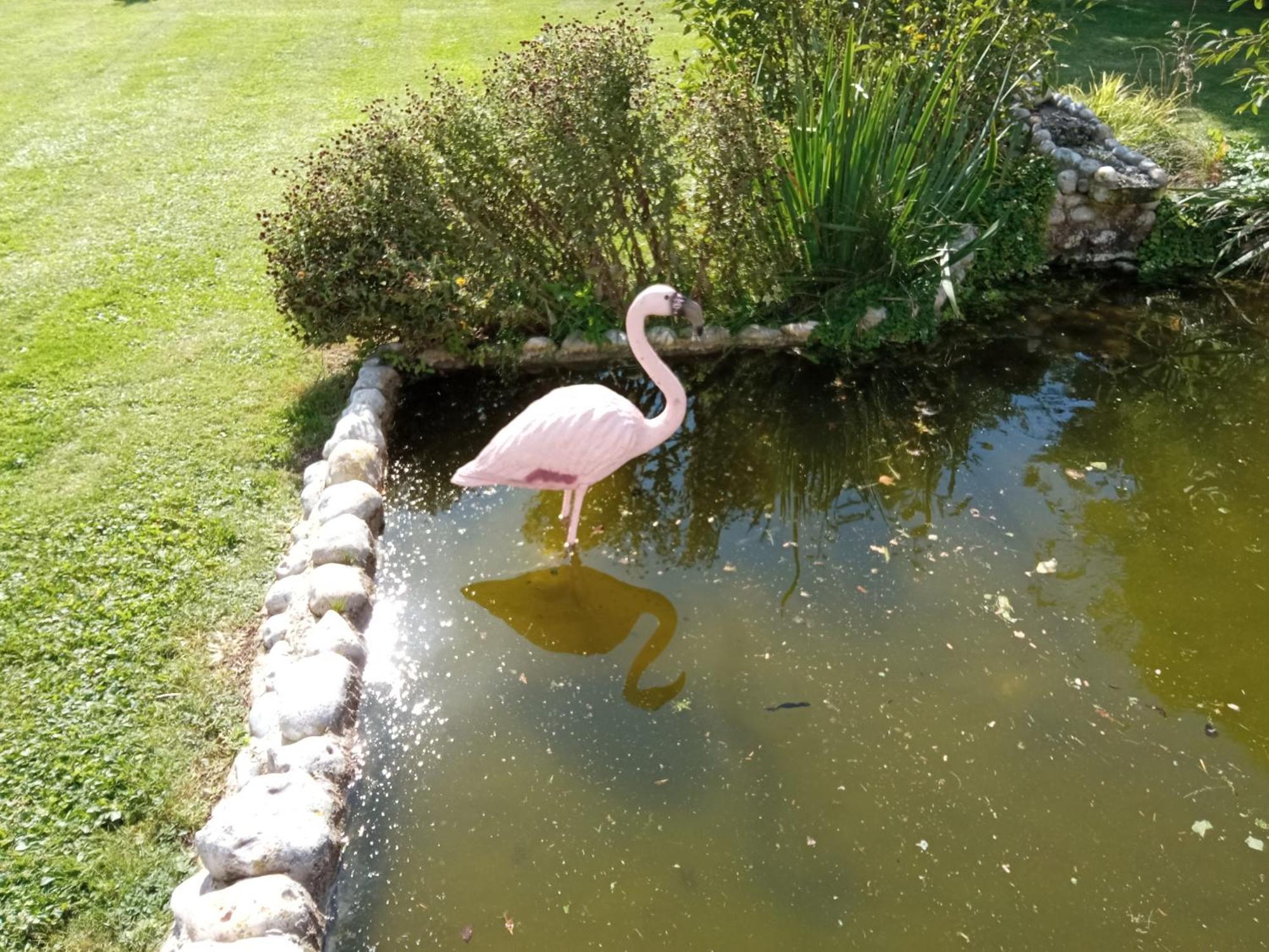 Gite Repos Et Tranquillite P Cayeux-sur-Mer Bagian luar foto